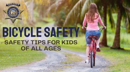 Bicycle Safety Infographic