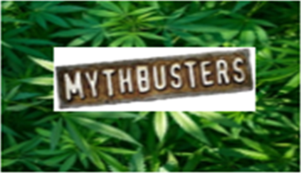 Crime Prevention Marijuana Mythbusters