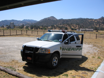 Patrol Car from the front with open driver's droor