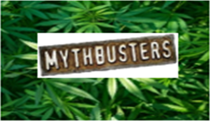 Kcso Cp Marijuana Myth Busters Thumbnail